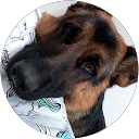 Emma B. profile picture